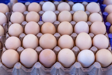 Village eggs sold in the market
