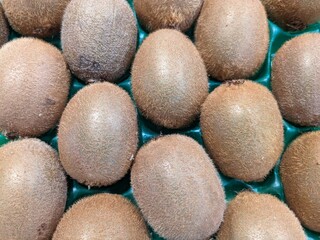 kiwi fruit
