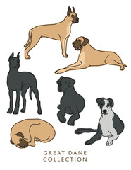 Great Dane Dog Outline Illustrations in Various Poses - obrazy, fototapety, plakaty