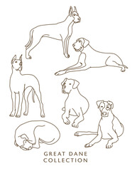 Great Dane Dog Outline Illustrations in Various Poses