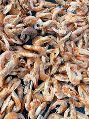 fresh seafood on market stall