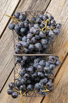 Grapes in wire basket on wooden background, studio shot