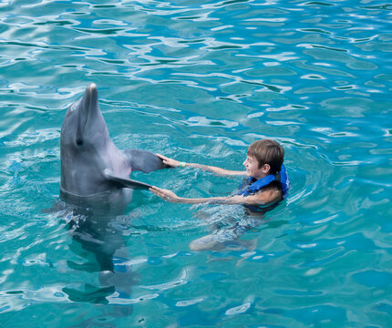 Swimming with Dolphin, Mexico