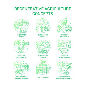 Regenerative agriculture green gradient concept icons set. Gardening and farming approach idea thin line color illustrations. Isolated symbols. Roboto-Medium, Myriad Pro-Bold fonts used