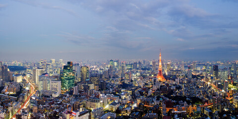 City Skyline, Tokyo, Japan