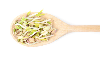 Mung bean sprouts in wooden spoon isolated on white, top view