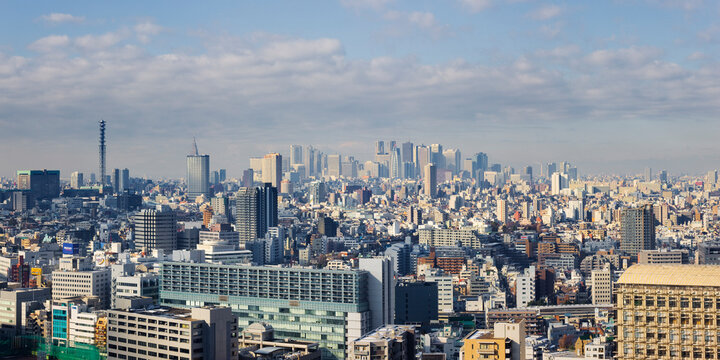 City Skyline, Shinjuku District, Tokyo, Japan