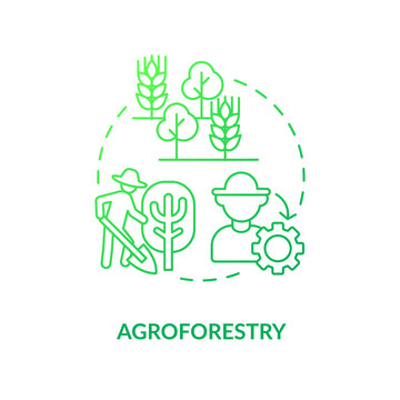 Agroforestry green gradient concept icon. Forest system. Regenerative agriculture techniques abstract idea thin line illustration. Isolated outline drawing. Myriad Pro-Bold font used