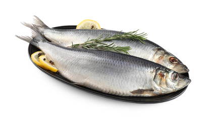 Plate with salted herrings, slices of lemon, peppercorns and rosemary isolated on white