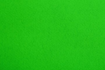 Naklejka na ściany i meble Textured bright green background. Chroma key compositing