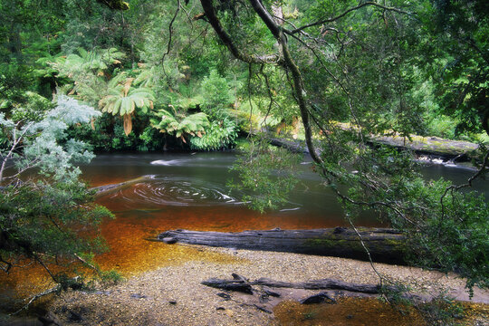 Styx River, Maydena, Tasmania, Australia