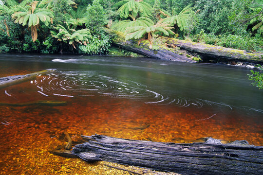 Styx River, Maydena, Tasmania, Australia
