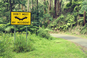 Road Through Tarra Bulga National Park, Victoria, Australia