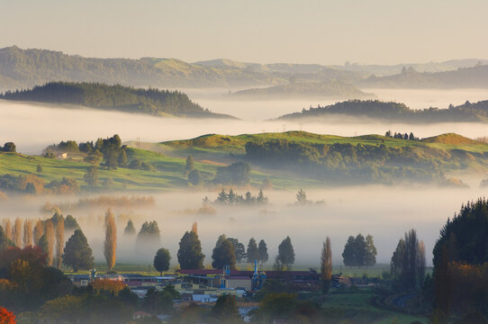 Farmland, Te Kuiti Township, North Island, New Zealand