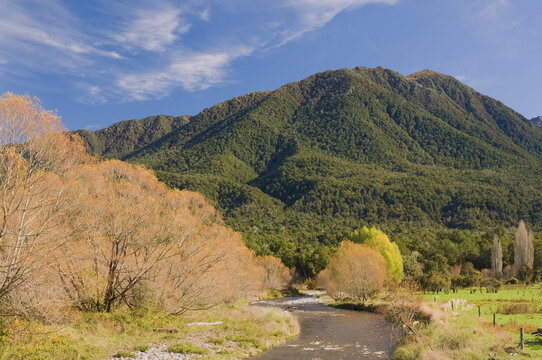 Station Creek, Maruia Valley, South Island, New Zealand