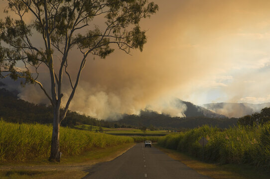 Bushfire, Finch Hatton, Pioneer Valley, Queensland, Australia
