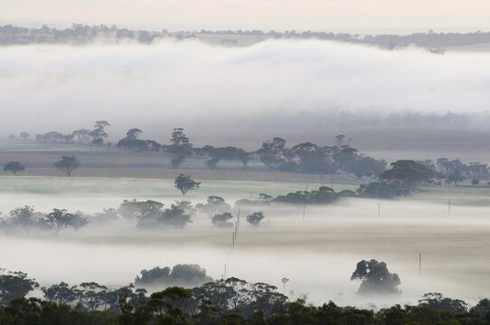 Morning, Avon Valley, York, Western Australia, Australia