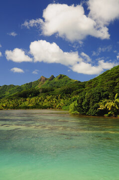 Overview of Bay, Huahine, French Polynesia