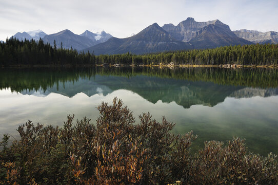 Herbert Lake, Banff National Park, Alberta, Canada