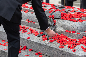People put poppy flowers on Tomb of the Unknown Soldier in Ottawa, Canada on Remembrance Day.