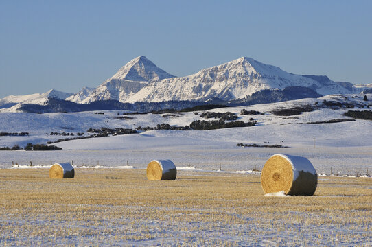 Prairie and Rocky Mountains, Near Pincher Creek, Alberta, Canada