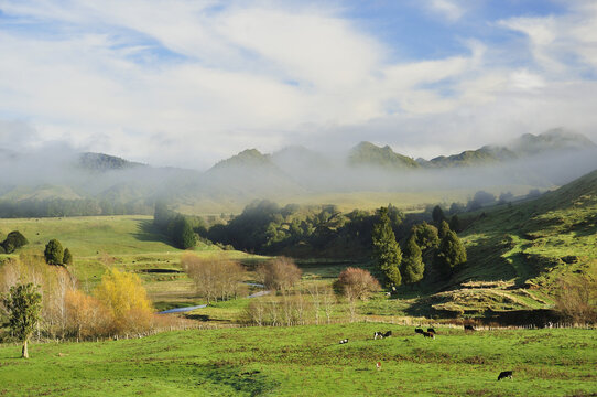 Farmland, near Matawai, Gisborne, North Island, New Zealand