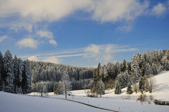 Black Forest, Schwarzwald-Baar, Baden-Wurttemberg, Germany