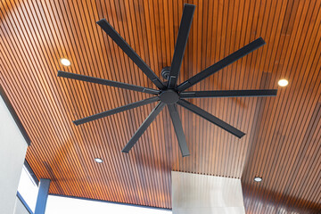 Alfresco ceiling fan on a wooden slat roof with down lighting