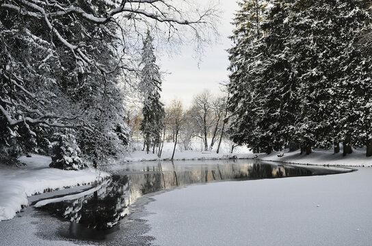 Winter Landscape near Koenigsfeld, Black Forest, Baden-Wurttemberg, Germany