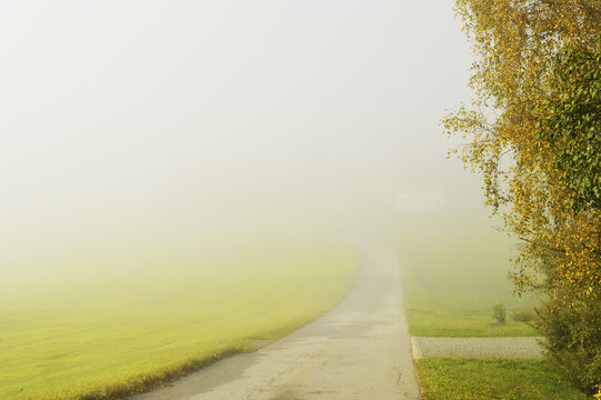 Road and Morning Fog, near Breitenberg, Bavaria, Germany