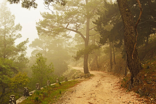 Mountain road at Profitis Ilias, Rhodes, Dodecanese, Aegean Sea, Greece, Europe