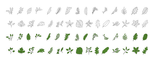 Fototapeta na wymiar Leaves vector sketch set. Hand drawn decorative elements