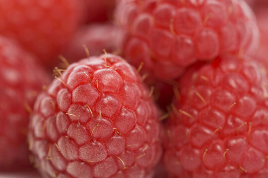 Closeup of Raspberries