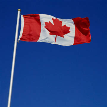 Canadian Flag