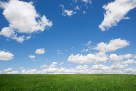 Blue Sky and Field
