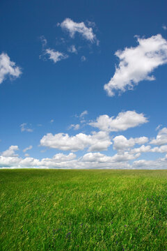 Blue Sky and Field