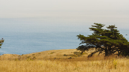 Fototapeta na wymiar Channel Islands National Park, Santa Cruz Island California, USA