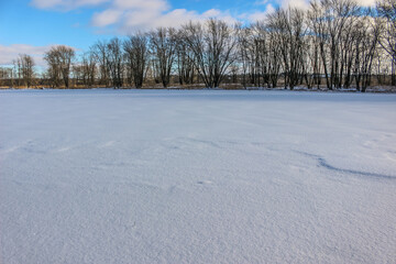 Fototapeta na wymiar beautiful winter landscape at the ravine Petrie Island, Ottawa river