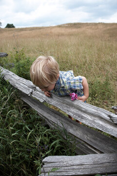 Boy Looking over Fence