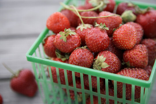 Basket of Strawberries
