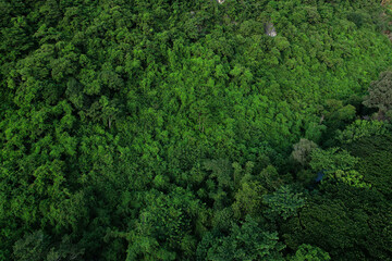 Fototapeta na wymiar aerial view of dark green forest Abundant natural ecosystems of rainforest. Concept of nature forest preservation and reforestation.