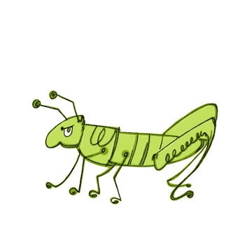 Illustration of Grasshopper