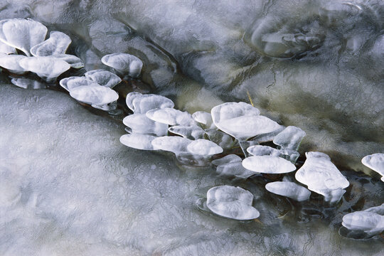 Close Up of Ice