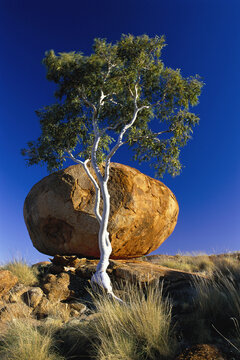 Devils Marbles Conservation Reserve, Northern Territory, Australia