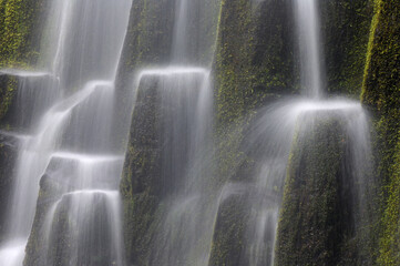 Proxy Falls, Three Sisters Wilderness, Willamette National Forest, Oregon, USA