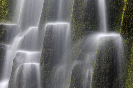 Proxy Falls, Three Sisters Wilderness, Willamette National Forest, Oregon, USA