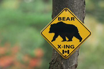 Bear Crossing Sign, Algonquin Provincial, Park, Ontario, Canada
