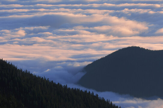 View From Hurricane Ridge, Olympic National Park, Washington, USA