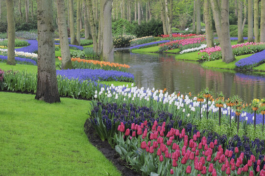 Keukenhof Gardens, Lisse, Holland