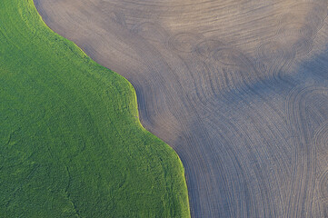 Fields, Palouse Region, Palouse, Whitman County, Washington State, USA